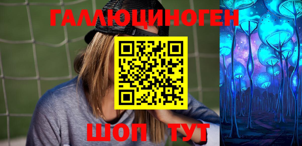 Псилоцибиновые грибы Psilocybe Домодедово